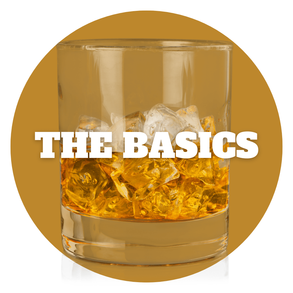 BFTC -Basics Dot